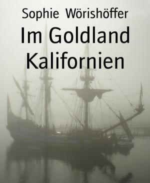 Cover of the book Im Goldland Kalifornien by Bob Jonas