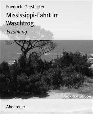 Cover of the book Mississippi-Fahrt im Waschtrog by Celia Williams