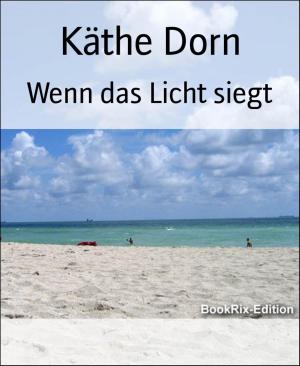 Cover of the book Wenn das Licht siegt by Thomas Herzberg