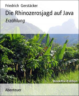 Cover of the book Die Rhinozerosjagd auf Java by Hamish Mepham