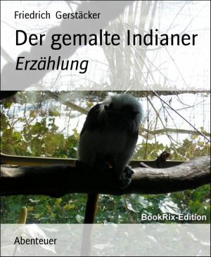 Cover of the book Der gemalte Indianer by Francine Silverman