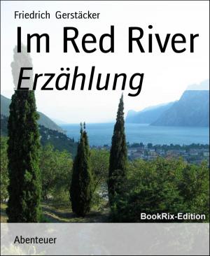 Cover of the book Im Red River by Mattis Lundqvist