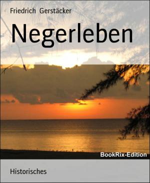 Cover of the book Negerleben by Haley Adams