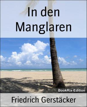 Cover of the book In den Manglaren by Steve Price