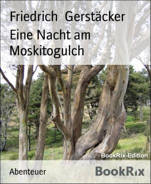 Cover of the book Eine Nacht am Moskitogulch by Sissi Kaipurgay