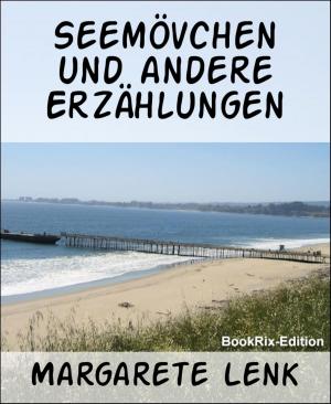Book cover of Seemövchen und andere Erzählungen