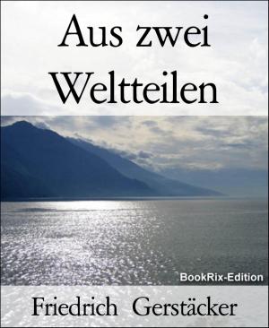 Cover of the book Aus zwei Weltteilen by W. A. Hary
