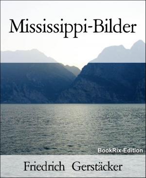 Cover of the book Mississippi-Bilder by Else Lasker-Schüler