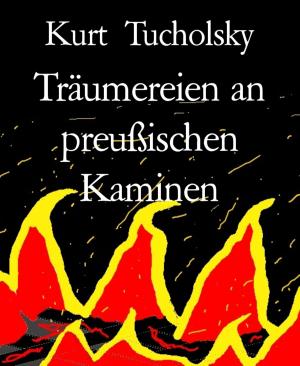 Cover of the book Träumereien an preußischen Kaminen by Jörg Hildebrandt