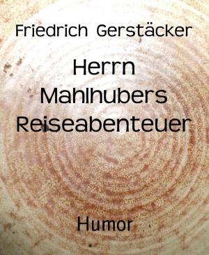 Cover of the book Herrn Mahlhubers Reiseabenteuer by Rittik Chandra
