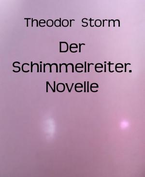 Cover of the book Der Schimmelreiter. Novelle by Betty J. Viktoria