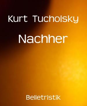 Cover of the book Nachher by Rittik Chandra