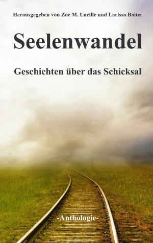 Book cover of Seelenwandel