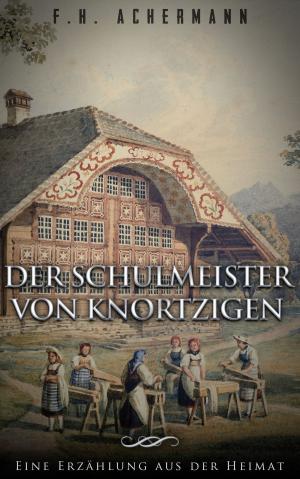 Cover of the book Der Schulmeister von Knortzigen by Frank Krause