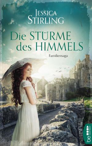 Cover of the book Die Stürme des Himmels by Leigh Hay