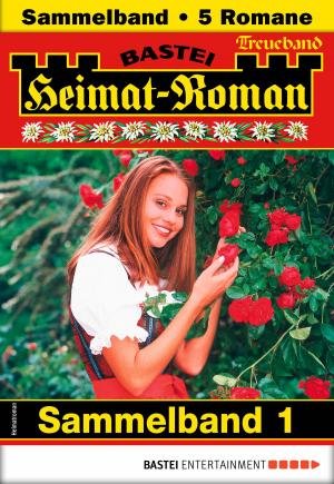 Book cover of Heimat-Roman Treueband 1 - Sammelband