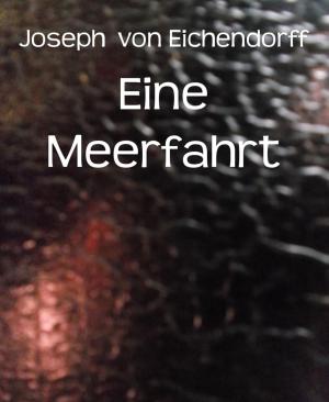 Cover of the book Eine Meerfahrt by Noah Daniel