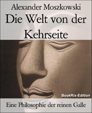 Cover of the book Die Welt von der Kehrseite by Ellington Bakumor