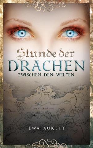 Cover of the book Stunde der Drachen 1 - Zwischen den Welten by Danny Wilson