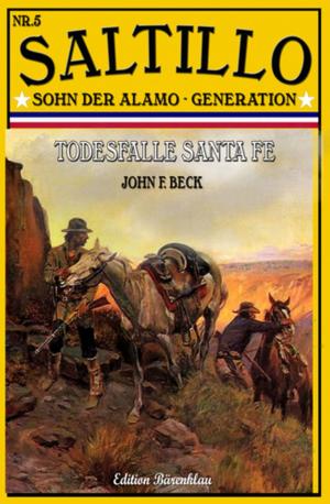 Book cover of Saltillo #5: Todesfalle Santa Fe