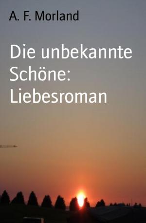 Cover of the book Die unbekannte Schöne: Liebesroman by Warren Dzangare