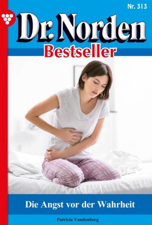 Cover of the book Dr. Norden Bestseller 313 – Arztroman by Britta Winckler