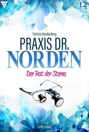 Book cover of Praxis Dr. Norden 12 – Arztroman