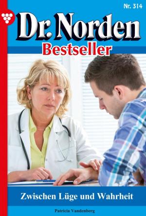 Book cover of Dr. Norden Bestseller 314 – Arztroman