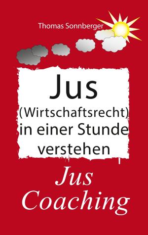 Cover of the book Jus (Wirtschaftsrecht) in einer Stunde verstehen by Bernd Sternal, Werner Hartmann