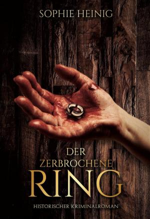 Cover of the book Der zerbrochene Ring by Wilfried A. Hary