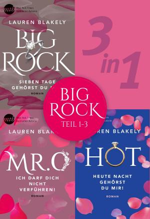 Cover of the book Big Rock - Teil 1-3 by Alex Kava