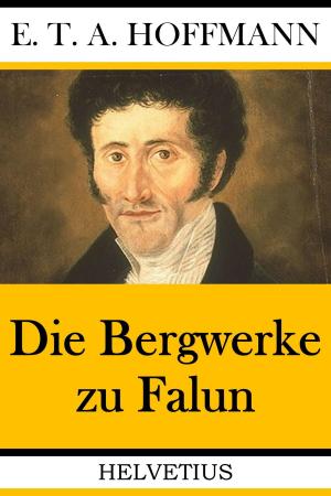 Cover of the book Die Bergwerke zu Falun by Oliver Schael, Silvia Schael