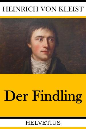 Cover of the book Der Findling by James Beardley Hendryx