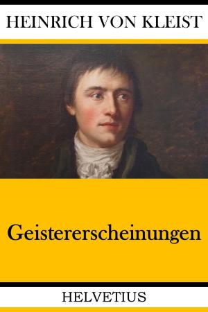 Cover of the book Geistererscheinungen by Walter Landin