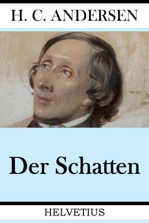 Cover of the book Der Schatten by Astrid Marie Ferver