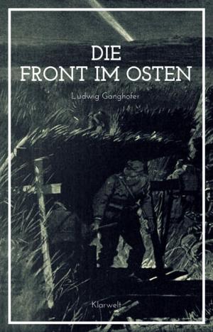 Cover of the book Die Front im Osten by Peter Wimmer