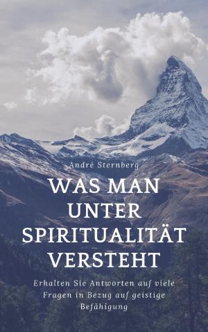 Book cover of Was man unter Spiritualität versteht