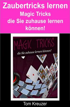 Cover of the book Zaubertricks lernen by Mona Busch