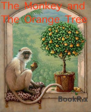 bigCover of the book The Monkey and The Orange Tree by 