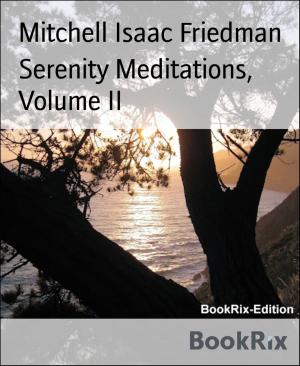 Cover of the book Serenity Meditations, Volume II by Daniel Coenn