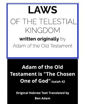 Cover of the book Laws of the Telestial Kingdom by Uwe Post