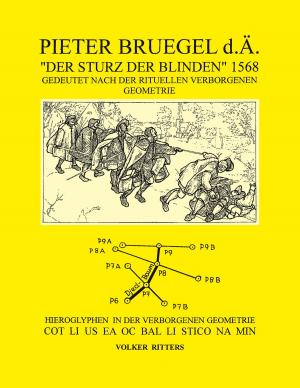 Cover of the book Pieter Bruegel d.Ä. "Der Sturz der Blinden" 1568 by Dirk Glebe