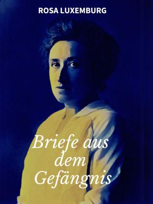 Cover of the book Briefe aus dem Gefängnis by Dolores Dimic