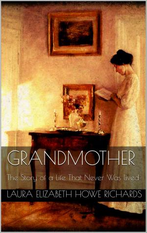 Cover of the book Grandmother by Frank Böttger
