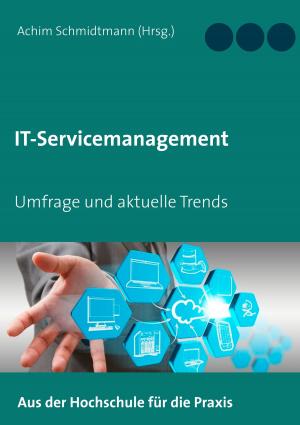 Cover of the book IT-Servicemanagement (in OWL) by Stefan Zweig