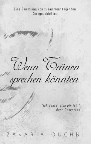Cover of the book Wenn Tränen sprechen könnten by Bernhard J. Schmidt