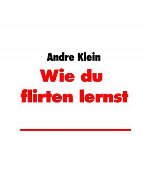 Cover of the book Wie du zu flirten lernst by André Sternberg