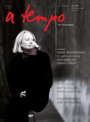 Book cover of a tempo - Das Lebensmagazin