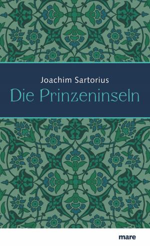 Cover of the book Die Prinzeninseln by Alban Nikolai Herbst