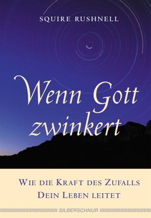 Book cover of Wenn Gott zwinkert